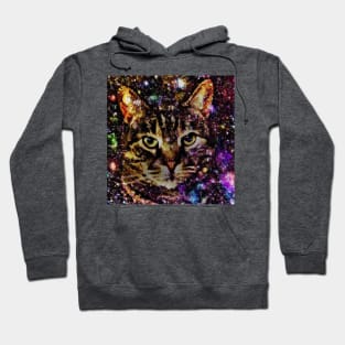 Striped Space Cat Hoodie